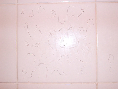 hairy tile