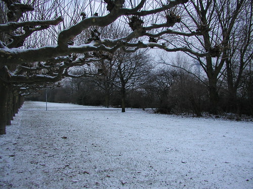 January 2006 Snow 006