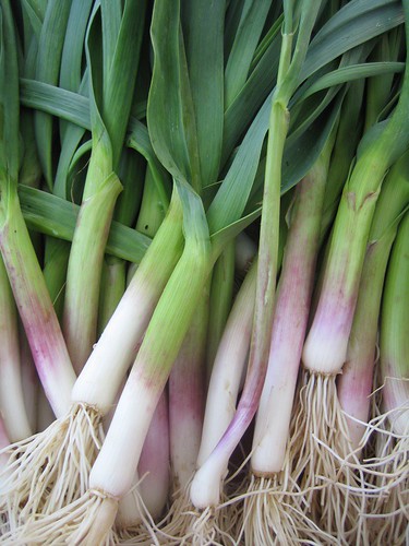 Green (spring) garlic