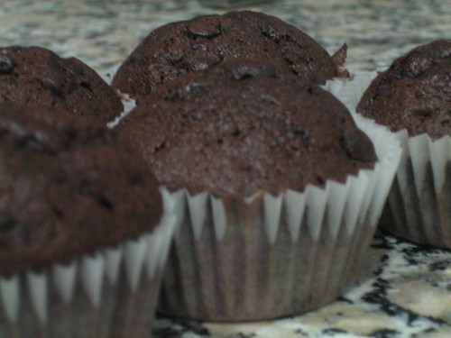 Chocolate Muffins (4)