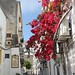 Ibiza - Cascata rossa colorata