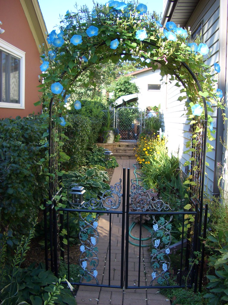 Looking thru the garden gate