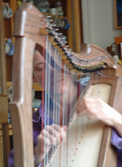 39a kris plays the harp