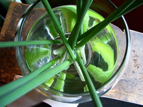 stems in vase on table