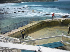 Cleaning the pool at Bronte beach