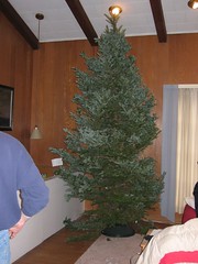 Big Christmas Tree, 2005