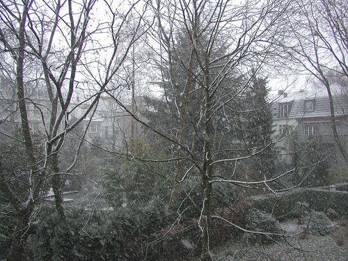 December Snow in Dusseldorf 2005 001