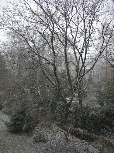 December Snow in Dusseldorf 2005 004