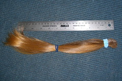 A foot of hair