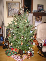 Christmas Tree at Dad's