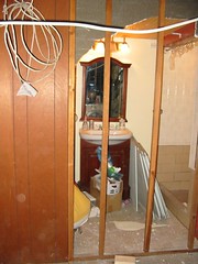 Bathroom sans drywall