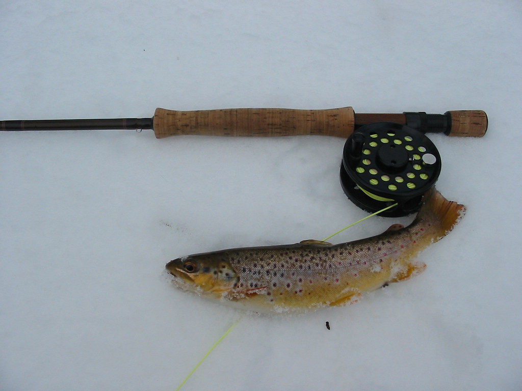 A very nice 'Secret Creek' brown trout