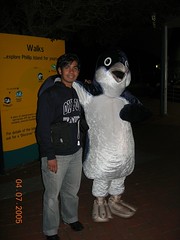 Bersama Maskot Penguin, Penguin Parade, Philip Island, Australia