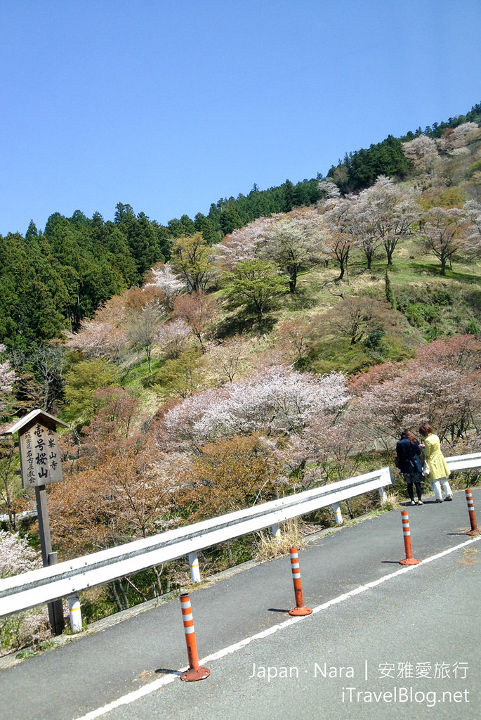 奈良 吉野山 赏樱