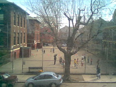 Brown School Playground from the couch (1)