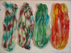 Dyeing fiber - rinsed