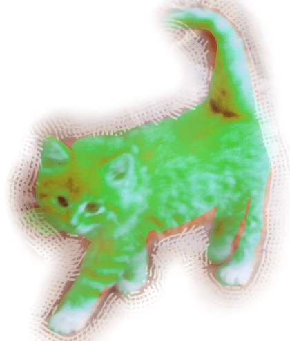 Chartreuse Cat
