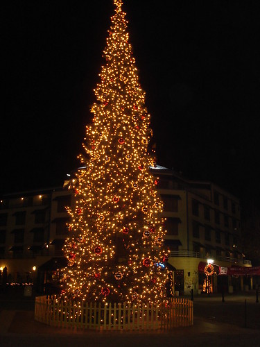 Christmas Tree @ Jack London Square