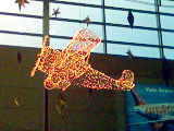 It's a wireframe plane with fairy light