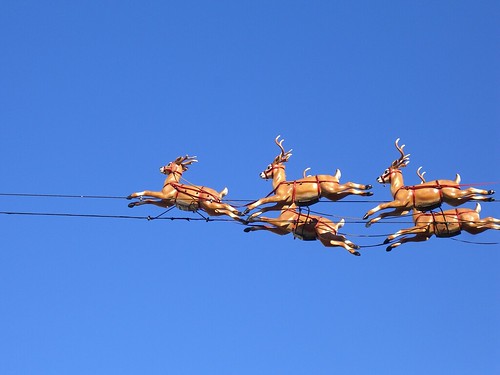 Flying reindeer