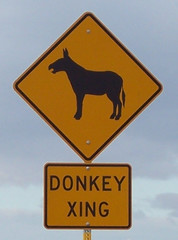 Donkey_Crossing