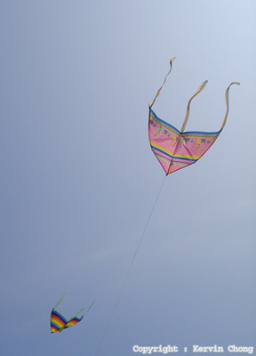 Kites03