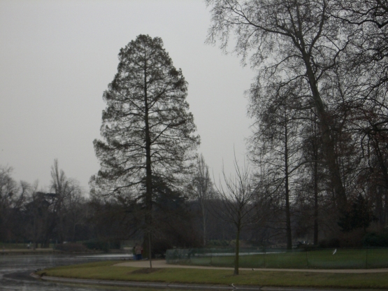 Paris Bois de Vincennes