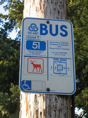 Bus Stop/Deer Crossing