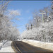 Winter-Road