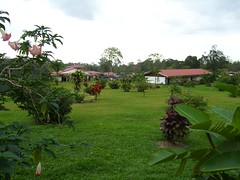 Volcano Lodge grounds