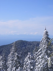 View From the Base of Hollyburn Mountain