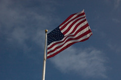 Flag in the Breeze