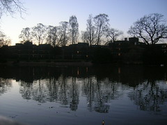 El lago del campus