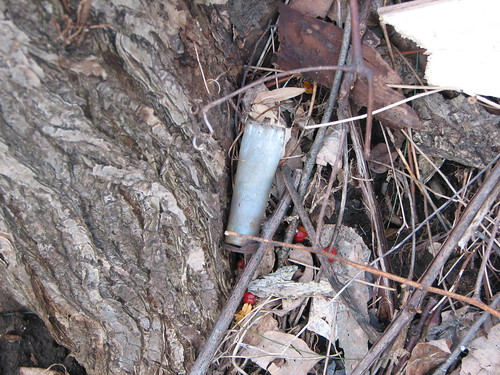 Shotgun shell on the ground below a hunting platform in Old Farm Hill Park, Mt. Pleasant, NY.
