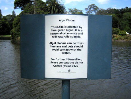 'Algal Bloom' sign (close)