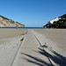 Ibiza - Beach Path