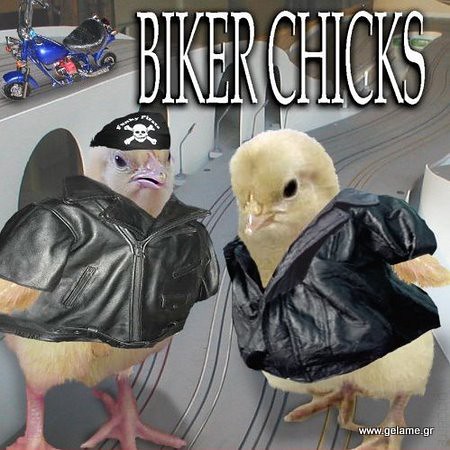 Biker-Chicks--3182
