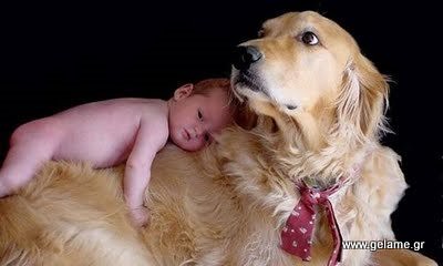 pets-and-babies-05