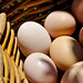 Ibiza - Cas Gasi Ibiza - Organic Eggs - Huevos Eco
