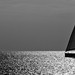 Formentera - ...sailing on one of those silver (ve