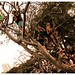 Ibiza - Hanging out in A Tree