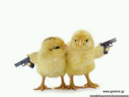 armed-chicks-funny-wallpaper-9