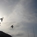 Ibiza - Seagulls