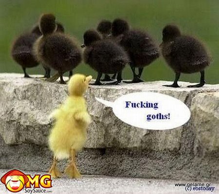 funny-chicks-birds-goth-yellow