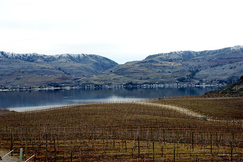View from Benson Winery