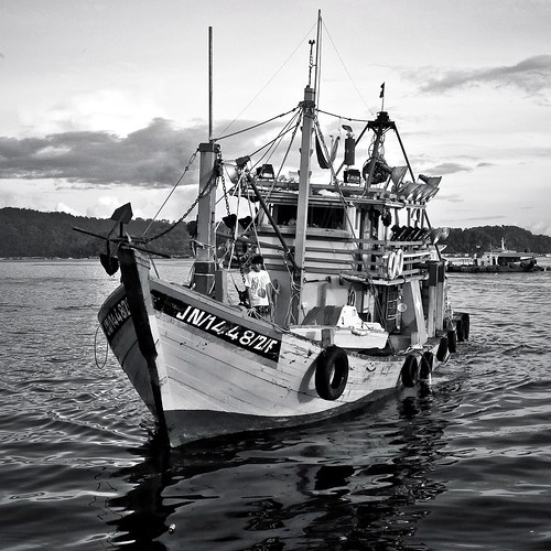 fishing boat returns {bw}