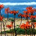 Formentera - Beach Flowers
