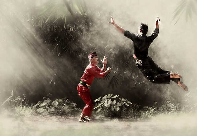 Indonesian Martial Art - Pencak Silat | Flickr - Photo Sharing!