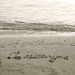 Ibiza - words on sand