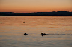 Sonnenuntergang am Sembacher See